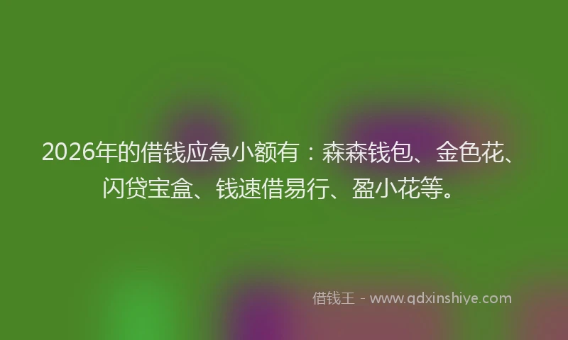 2026年的借钱应急小额有：森森钱包、金色花、闪贷宝盒、钱速借易行、盈小花等。