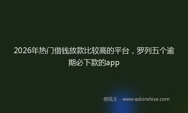 2026年热门借钱放款比较高的平台，罗列五个逾期必下款的app