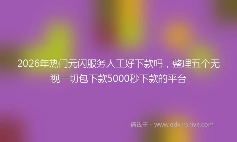 2026年热门元闪服务人工好下款吗，整理五个无视一切包下款5000秒下款的平台