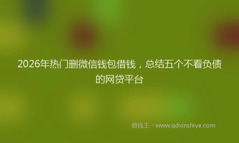 2026年热门删微信钱包借钱，总结五个不看负债的网贷平台