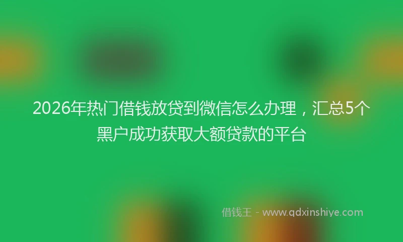 2026年热门借钱放贷到微信怎么办理，汇总5个黑户成功获取大额贷款的平台