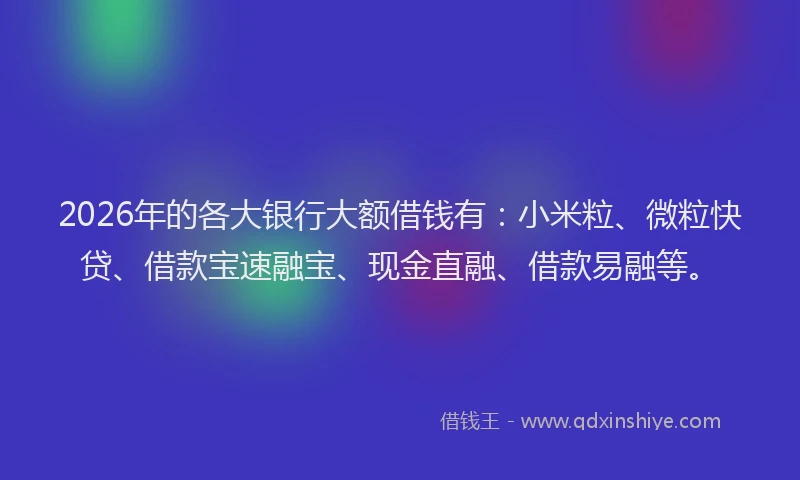 2026年的各大银行大额借钱有：小米粒、微粒快贷、借款宝速融宝、现金直融、借款易融等。