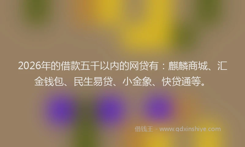 2026年的借款五千以内的网贷有：麒麟商城、汇金钱包、民生易贷、小金象、快贷通等。