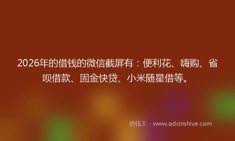 2026年的借钱的微信截屏有：便利花、嗨购、省呗借款、固金快贷、小米随星借等。