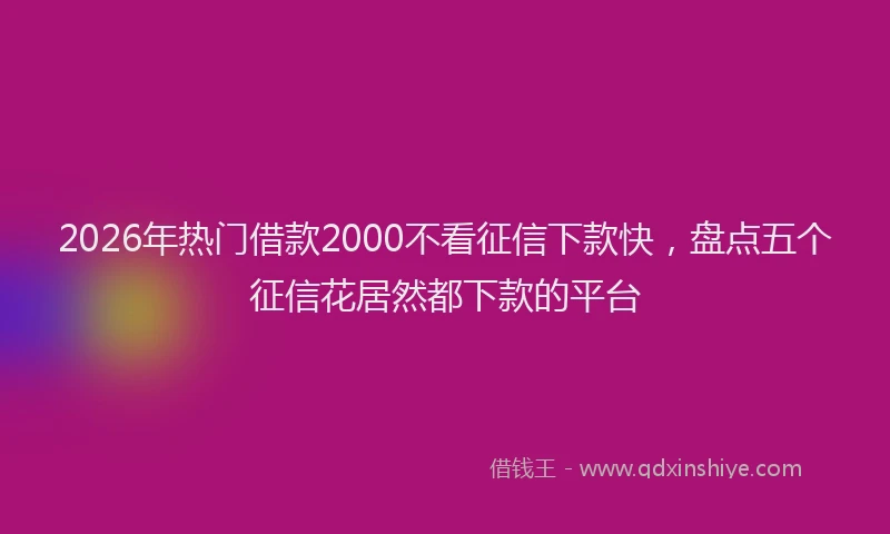 2026年热门借款2000不看征信下款快，盘点五个征信花居然都下款的平台