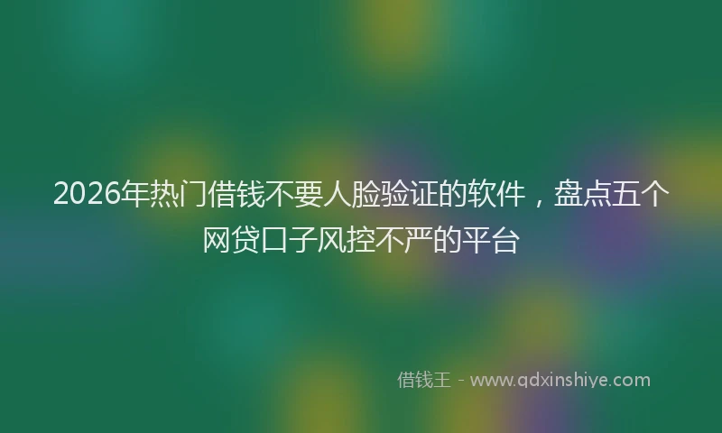 2026年热门借钱不要人脸验证的软件，盘点五个网贷口子风控不严的平台