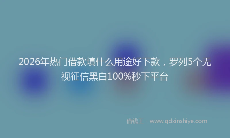 2026年热门借款填什么用途好下款，罗列5个无视征信黑白100%秒下平台