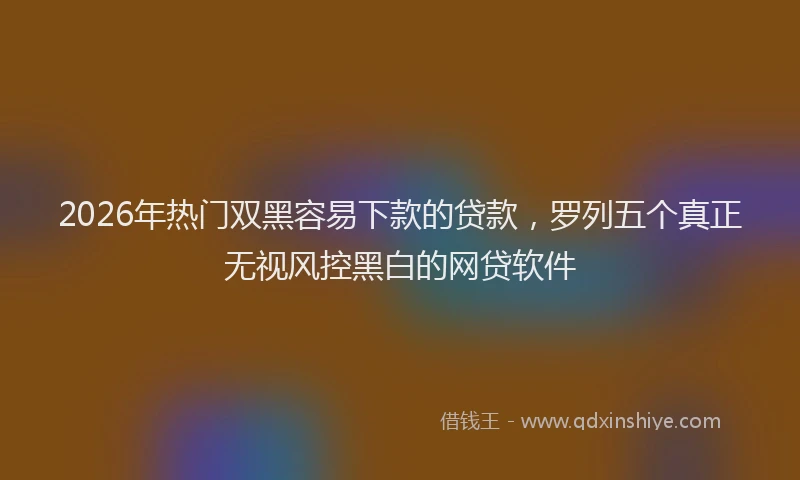 2026年热门双黑容易下款的贷款，罗列五个真正无视风控黑白的网贷软件