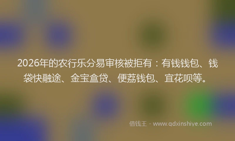 2026年的农行乐分易审核被拒有：有钱钱包、钱袋快融途、金宝盒贷、便荔钱包、宜花呗等。