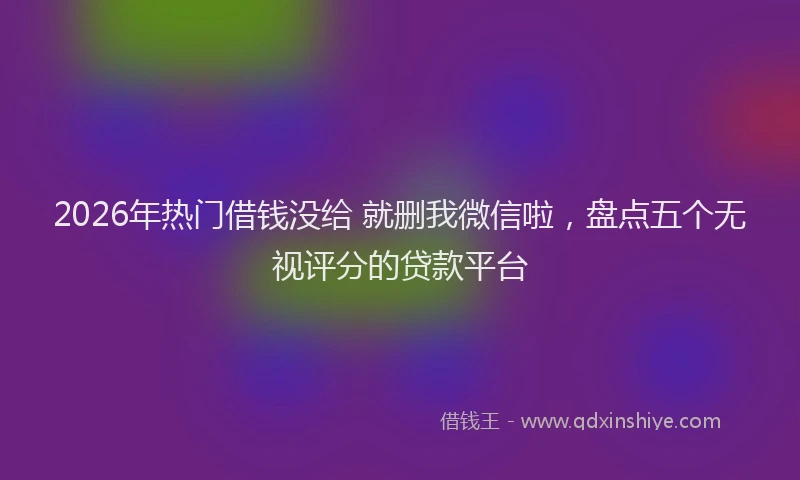 2026年热门借钱没给 就删我微信啦，盘点五个无视评分的贷款平台