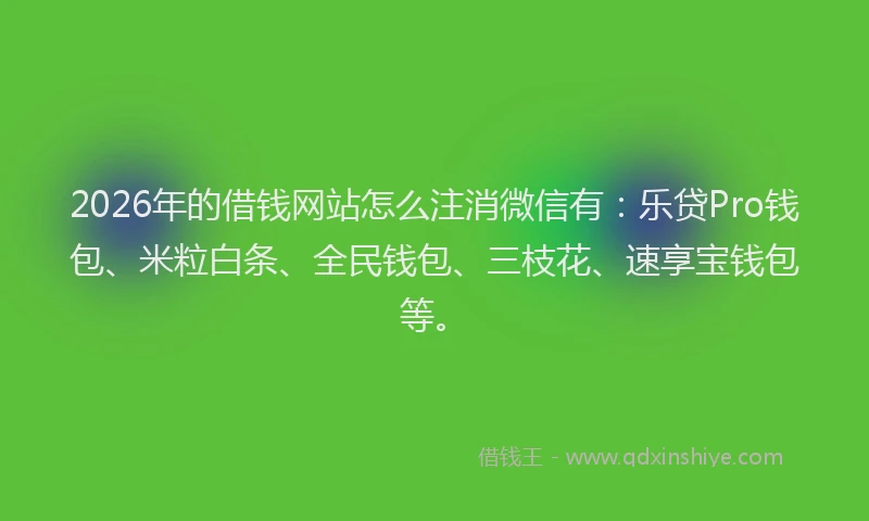 2026年的借钱网站怎么注消微信有：乐贷Pro钱包、米粒白条、全民钱包、三枝花、速享宝钱包等。