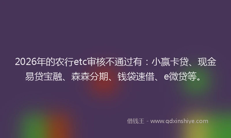 2026年的农行etc审核不通过有：小赢卡贷、现金易贷宝融、森森分期、钱袋速借、e微贷等。