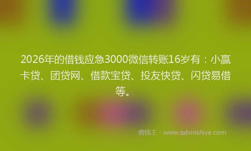 2026年的借钱应急3000微信转账16岁有：小赢卡贷、团贷网、借款宝贷、投友快贷、闪贷易借等。