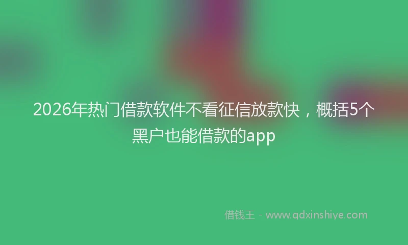 2026年热门借款软件不看征信放款快，概括5个黑户也能借款的app