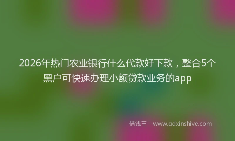 2026年热门农业银行什么代款好下款，整合5个黑户可快速办理小额贷款业务的app