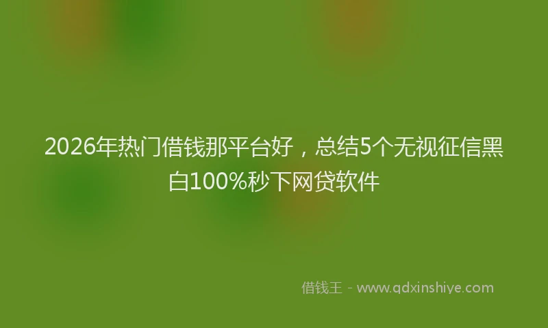 2026年热门借钱那平台好，总结5个无视征信黑白100%秒下网贷软件