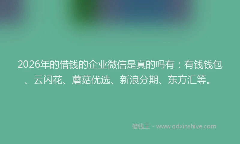 2026年的借钱的企业微信是真的吗有：有钱钱包、云闪花、蘑菇优选、新浪分期、东方汇等。