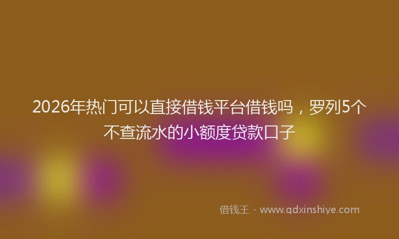 2026年热门可以直接借钱平台借钱吗，罗列5个不查流水的小额度贷款口子