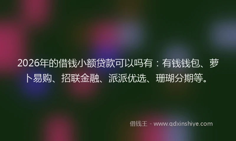 2026年的借钱小额贷款可以吗有：有钱钱包、萝卜易购、招联金融、派派优选、珊瑚分期等。