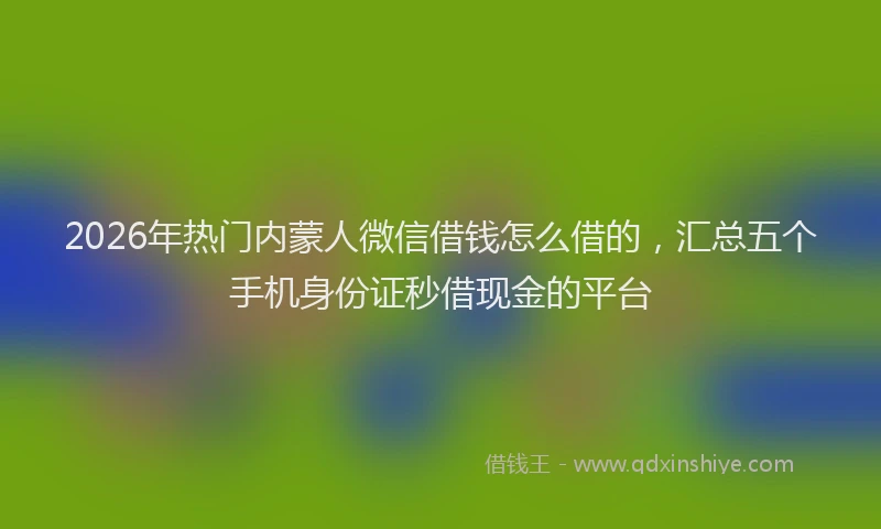 2026年热门内蒙人微信借钱怎么借的，汇总五个手机身份证秒借现金的平台