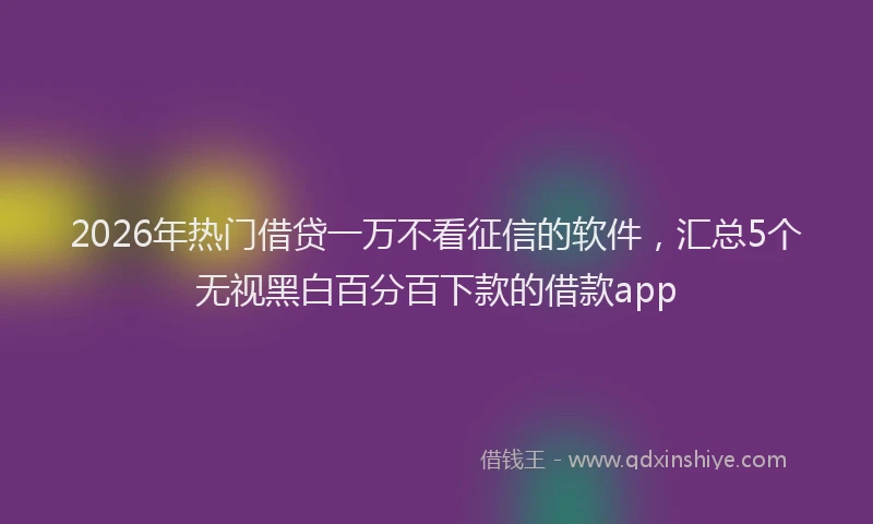 2026年热门借贷一万不看征信的软件，汇总5个无视黑白百分百下款的借款app