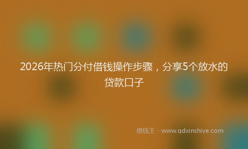 2026年热门分付借钱操作步骤，分享5个放水的贷款口子