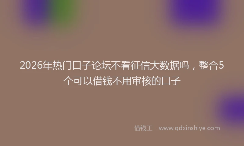 2026年热门口子论坛不看征信大数据吗，整合5个可以借钱不用审核的口子