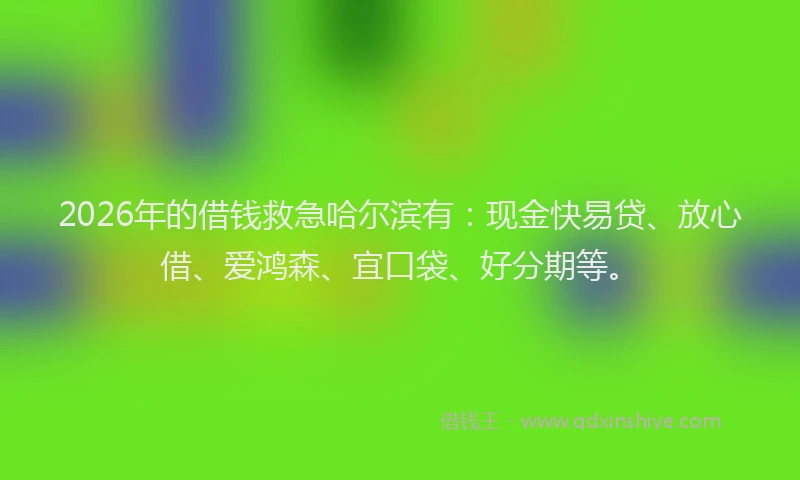 2026年的借钱救急哈尔滨有：现金快易贷、放心借、爱鸿森、宜口袋、好分期等。
