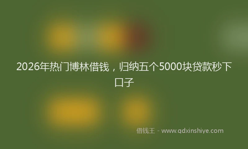 2026年热门博林借钱，归纳五个5000块贷款秒下口子
