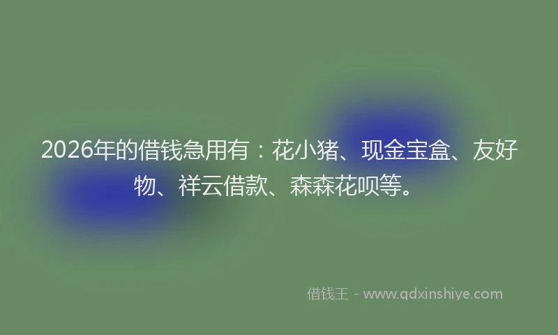 2026年的借钱急用有：花小猪、现金宝盒、友好物、祥云借款、森森花呗等。