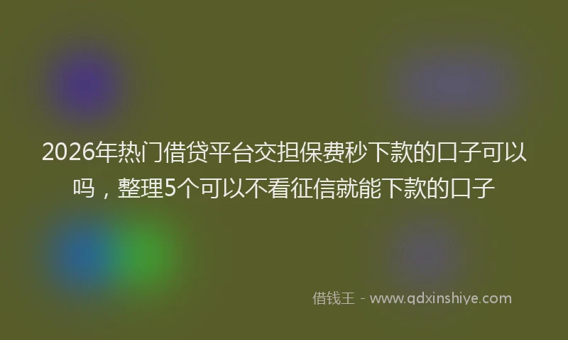 2026年热门借贷平台交担保费秒下款的口子可以吗，整理5个可以不看征信就能下款的口子