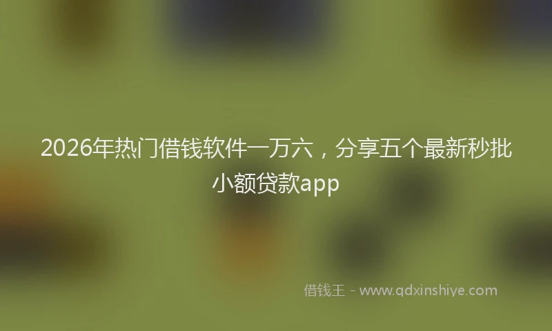 2026年热门借钱软件一万六，分享五个最新秒批小额贷款app