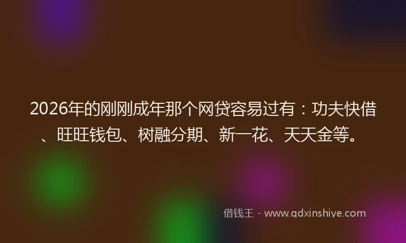 2026年的刚刚成年那个网贷容易过有：功夫快借、旺旺钱包、树融分期、新一花、天天金等。