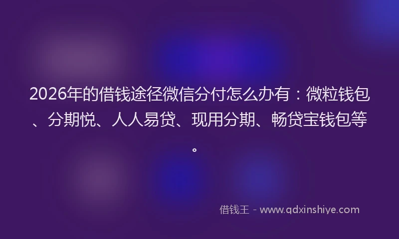 2026年的借钱途径微信分付怎么办有：微粒钱包、分期悦、人人易贷、现用分期、畅贷宝钱包等。