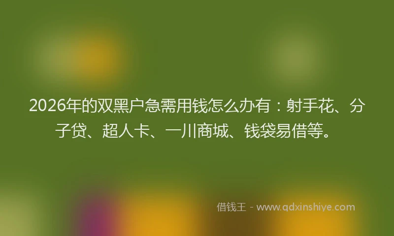 2026年的双黑户急需用钱怎么办有：射手花、分子贷、超人卡、一川商城、钱袋易借等。