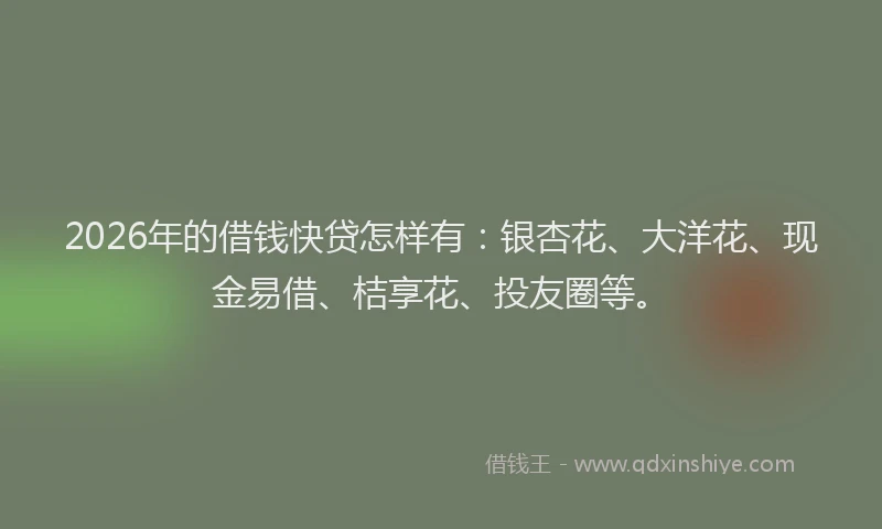 2026年的借钱快贷怎样有：银杏花、大洋花、现金易借、桔享花、投友圈等。