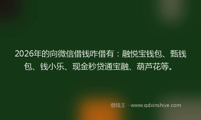 2026年的向微信借钱咋借有：融悦宝钱包、甄钱包、钱小乐、现金秒贷通宝融、葫芦花等。
