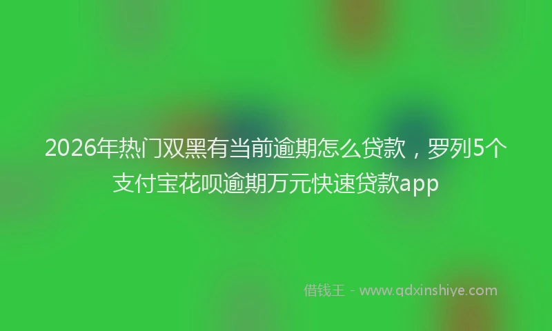 2026年热门双黑有当前逾期怎么贷款，罗列5个支付宝花呗逾期万元快速贷款app