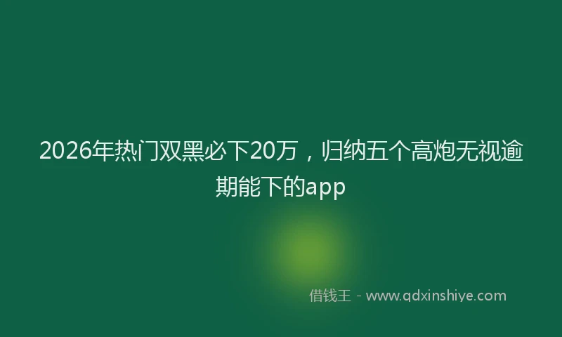 2026年热门双黑必下20万，归纳五个高炮无视逾期能下的app