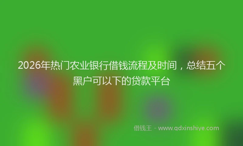 2026年热门农业银行借钱流程及时间，总结五个黑户可以下的贷款平台