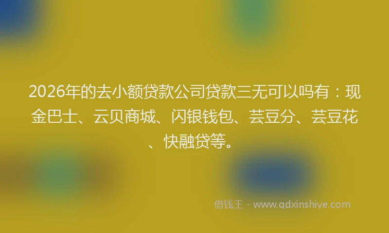2026年的去小额贷款公司贷款三无可以吗有：现金巴士、云贝商城、闪银钱包、芸豆分、芸豆花、快融贷等。
