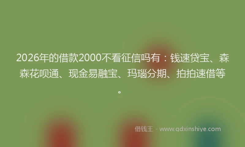2026年的借款2000不看征信吗有：钱速贷宝、森森花呗通、现金易融宝、玛瑙分期、拍拍速借等。