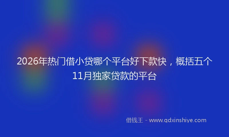2026年热门借小贷哪个平台好下款快，概括五个11月独家贷款的平台