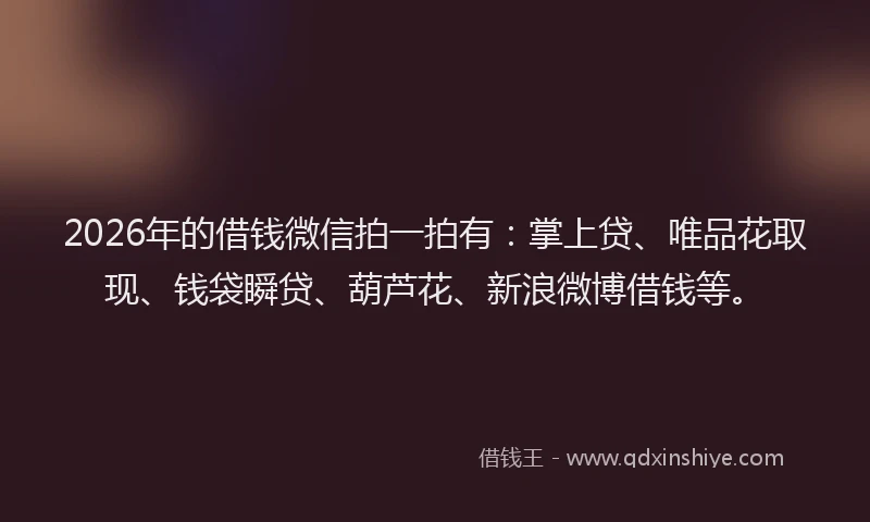 2026年的借钱微信拍一拍有：掌上贷、唯品花取现、钱袋瞬贷、葫芦花、新浪微博借钱等。