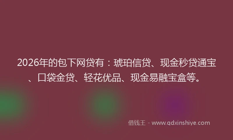 2026年的包下网贷有：琥珀信贷、现金秒贷通宝、口袋金贷、轻花优品、现金易融宝盒等。