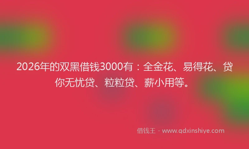 2026年的双黑借钱3000有：全金花、易得花、贷你无忧贷、粒粒贷、薪小用等。