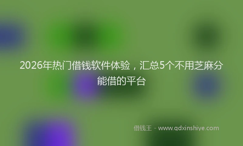 2026年热门借钱软件体验，汇总5个不用芝麻分能借的平台