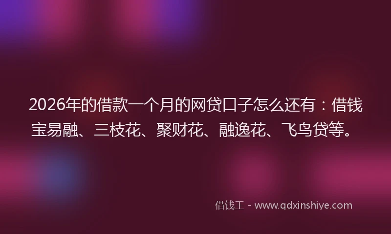 2026年的借款一个月的网贷口子怎么还有：借钱宝易融、三枝花、聚财花、融逸花、飞鸟贷等。