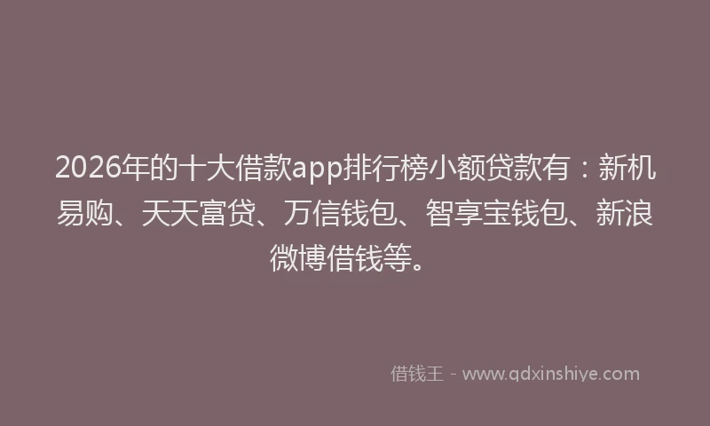 2026年的十大借款app排行榜小额贷款有：新机易购、天天富贷、万信钱包、智享宝钱包、新浪微博借钱等。