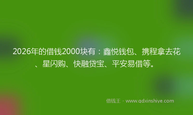 2026年的借钱2000块有：鑫悦钱包、携程拿去花、星闪购、快融贷宝、平安易借等。